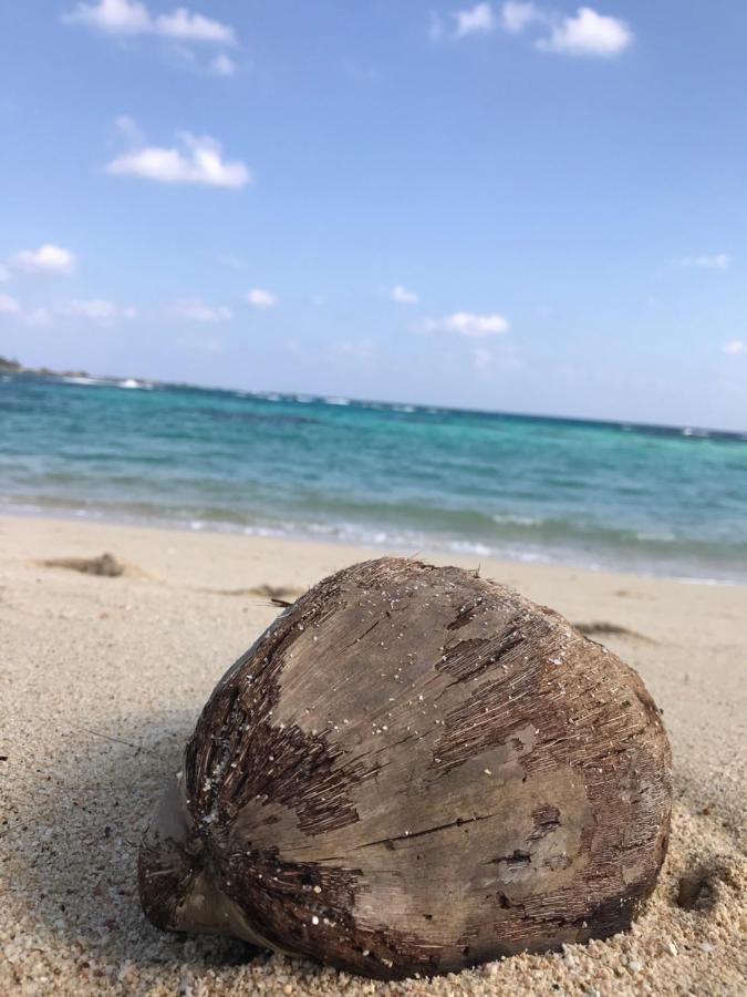 הוסטל אמאמי みーまん奄美 מראה חיצוני תמונה